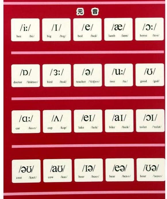 知育玩具 音声で学ぶ英語発音ガイド